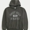 Boxy Forest Hills Athletics Graphic Hoodie Boxy Forest Hills Athletics Graphic Hoodie