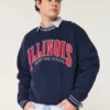 Φαρδύ φούτερ με σχέδιο Fighting Illini του Πανεπιστημίου του Ιλινόις