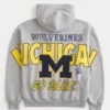 Φούτερ με κουκούλα και φερμουάρ Boxy Zip-Up University of Michigan Wolverines Graphic Hoodie