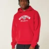 Φούτερ με κουκούλα και σχέδιο της University of Wisconsin Badgers