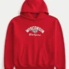 Φούτερ με κουκούλα και σχέδιο της University of Wisconsin Badgers