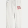 The Ohio State University Buckeyes Graphic Baggy Cinch Fleece Joggers